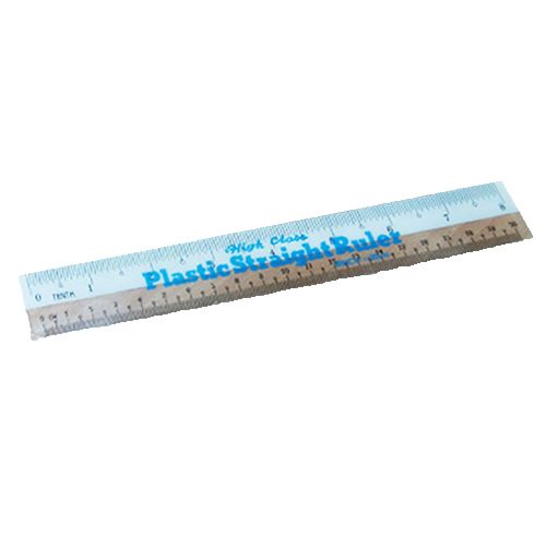 OEM White Side Ruler 8" 20cm