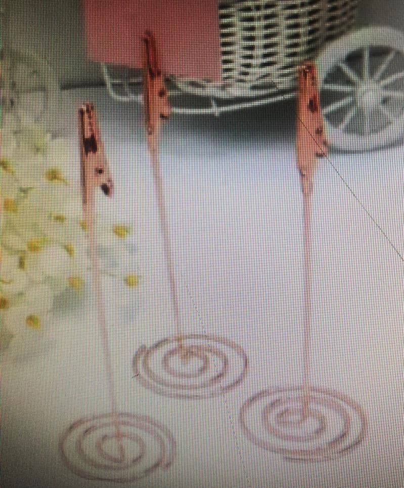 QP Table Stand With Clip 12 pieces