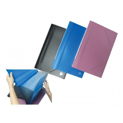 CBE Expanding File F4 12 Pocket 4301