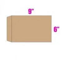 Brown Envelope 6" x 9"
