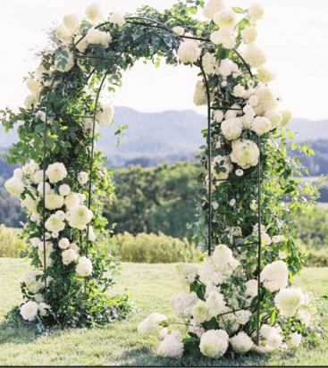 NURSERY ITEM ITEM: Garden Arch