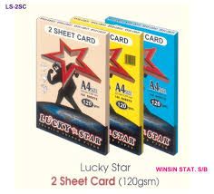 A4 120GSM TWO SHEET CARD - 100''S- WHITE