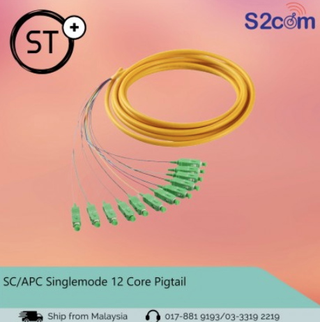 SC/APC Singlemode 12 Core Pigtail