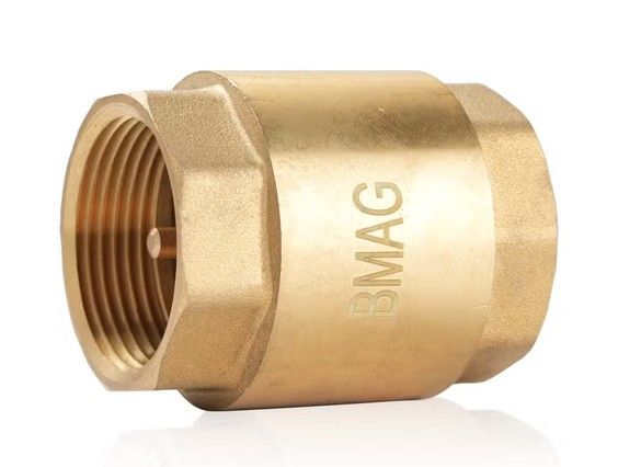 OEM Brass Spring Check Valve Non Return Valve