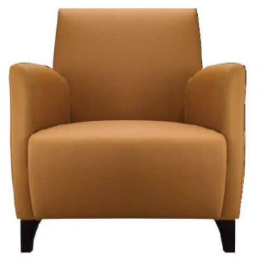 Bryanna Single Seater Sofa OFNX22084A