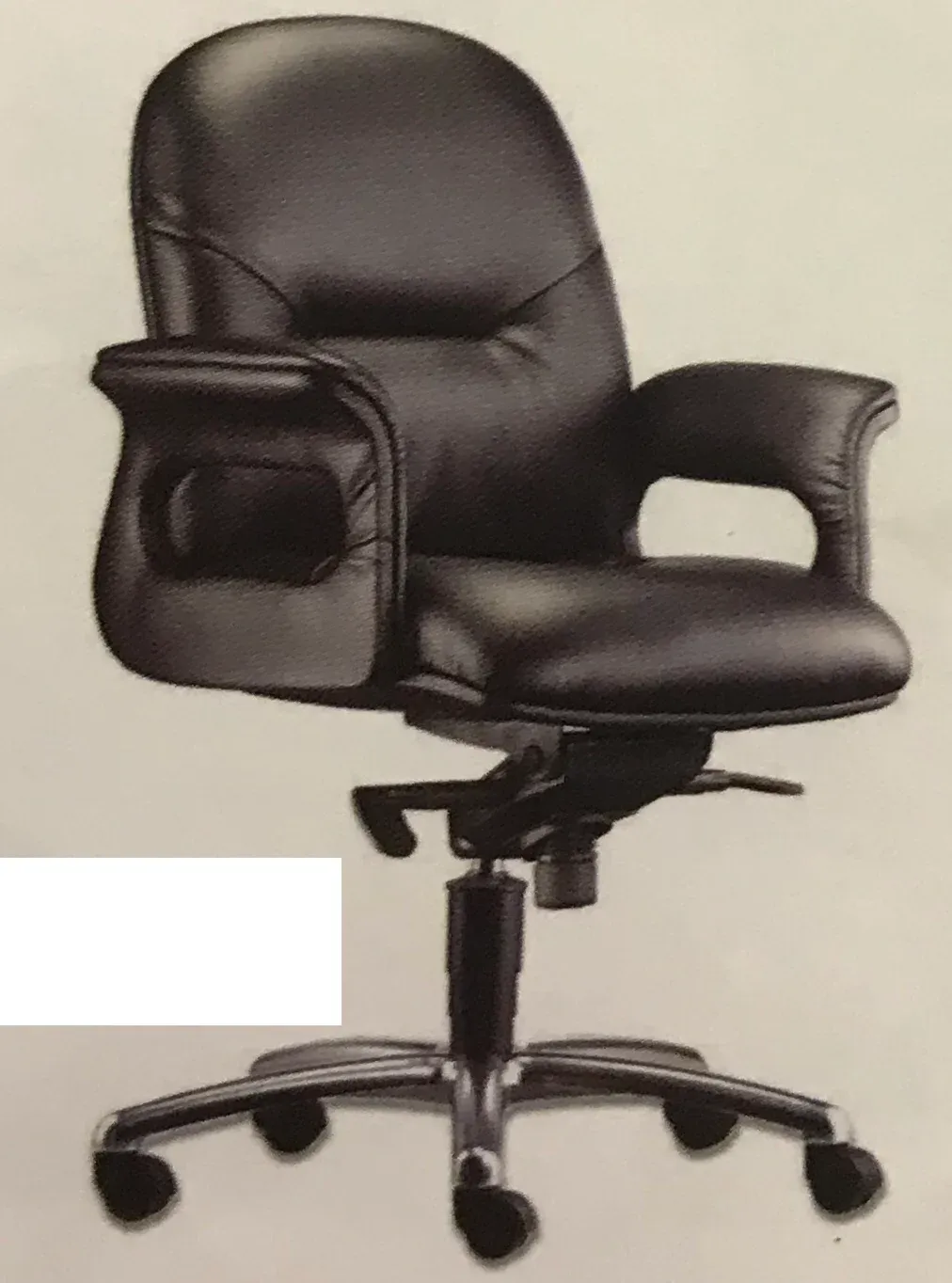 PISCES LOW BACK CHAIR
