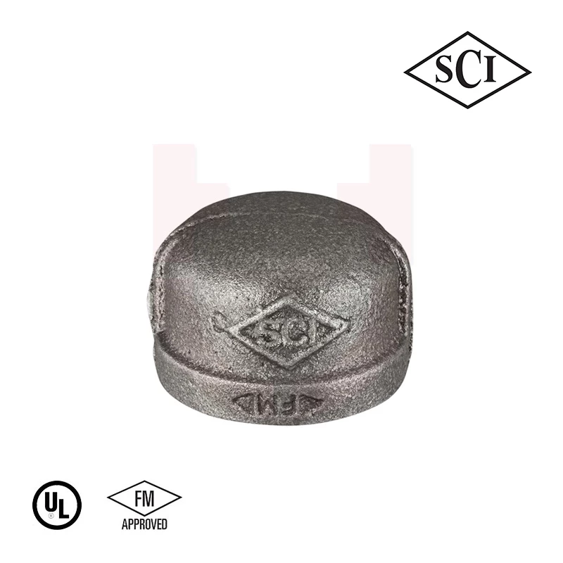 SCI STEAM End Cap S/E