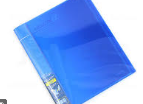 QP 2S MANAGEMENT FILE BLUE