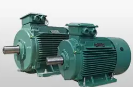 Elektra AC Induction Motor