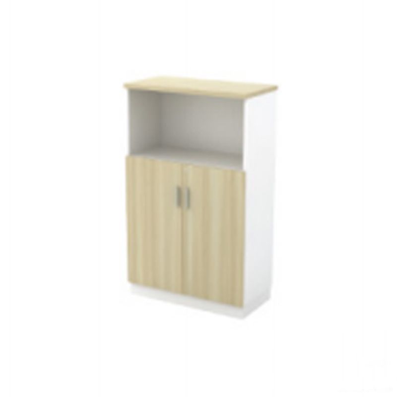VS SEMI SWINGING DOOR MEDIUM CABINET