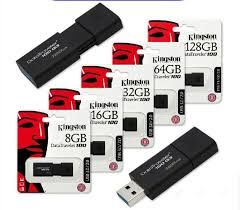Kingston DataTraveler USB Flash Drives DT100G3