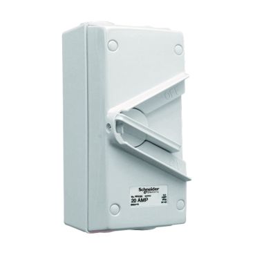 Schneider Electric 440V 20A Double Pole Isolator Switch