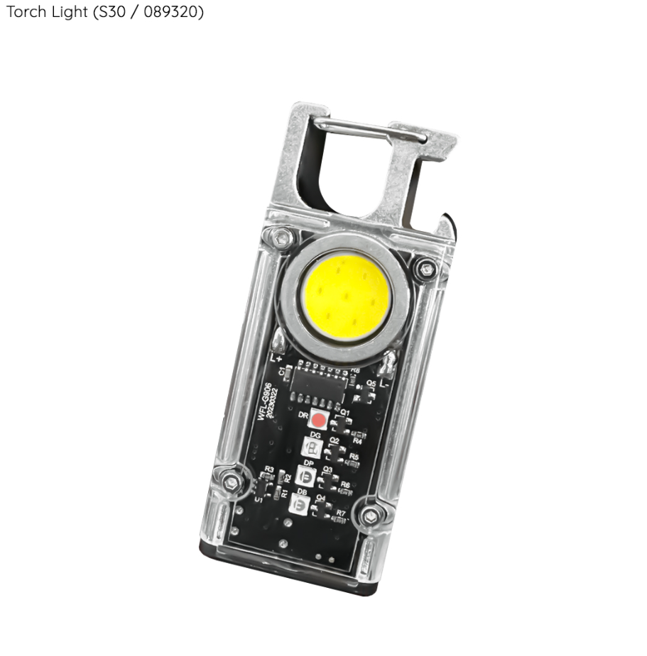 RANDOM RECHARGEABLE KEYCHAIN COB TORCH LIGHT (S30) RANDOM