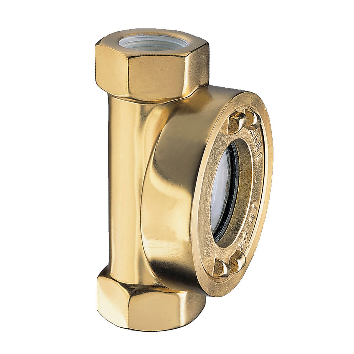 Spirax Sarco *Spirax Sarco Brass Sight Glass Check Valve, BSPP 1/2in, 3.5 bar