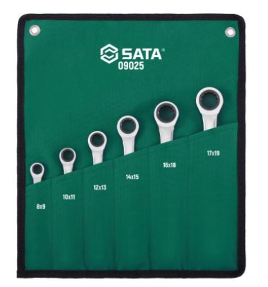 6 Pc. Metric Double Box Ratcheting Wrench Set ST09025SJ