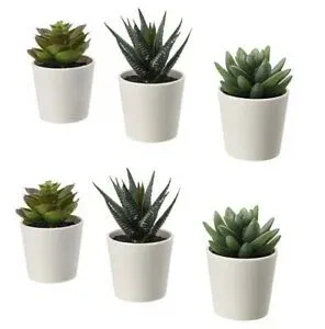 FEJKA - Succulent 6 cm 3 pieces