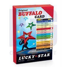 A4 230GSM BUFFALO CARD 100''S/PKT