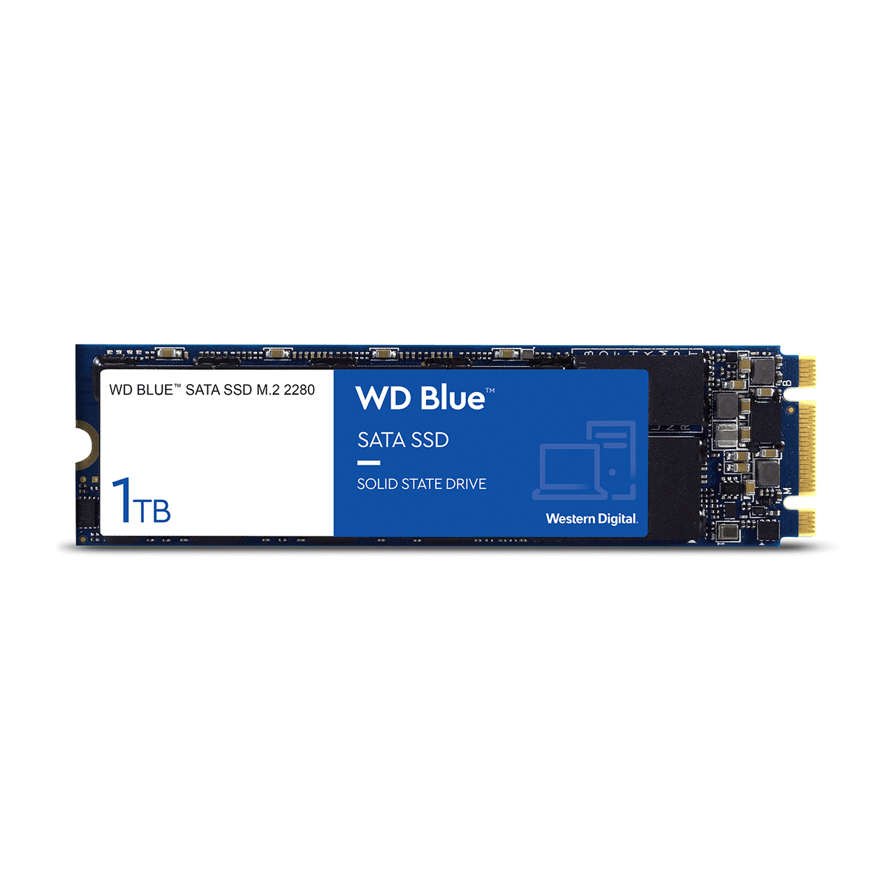 Genuine Malaysia Western Digital Warranty - WESTERN DIGITAL BLUE 1TB M.2 SATA SSD WDS100T2B0B