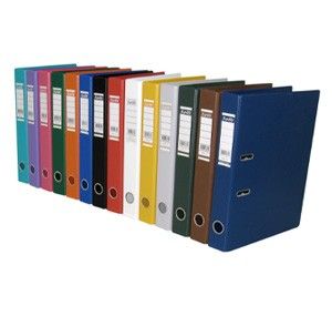 2D PVC Bantex Basic A4 File 50mm