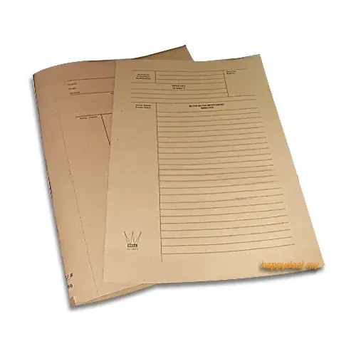 BROWN PAPER FILE - 100PCS