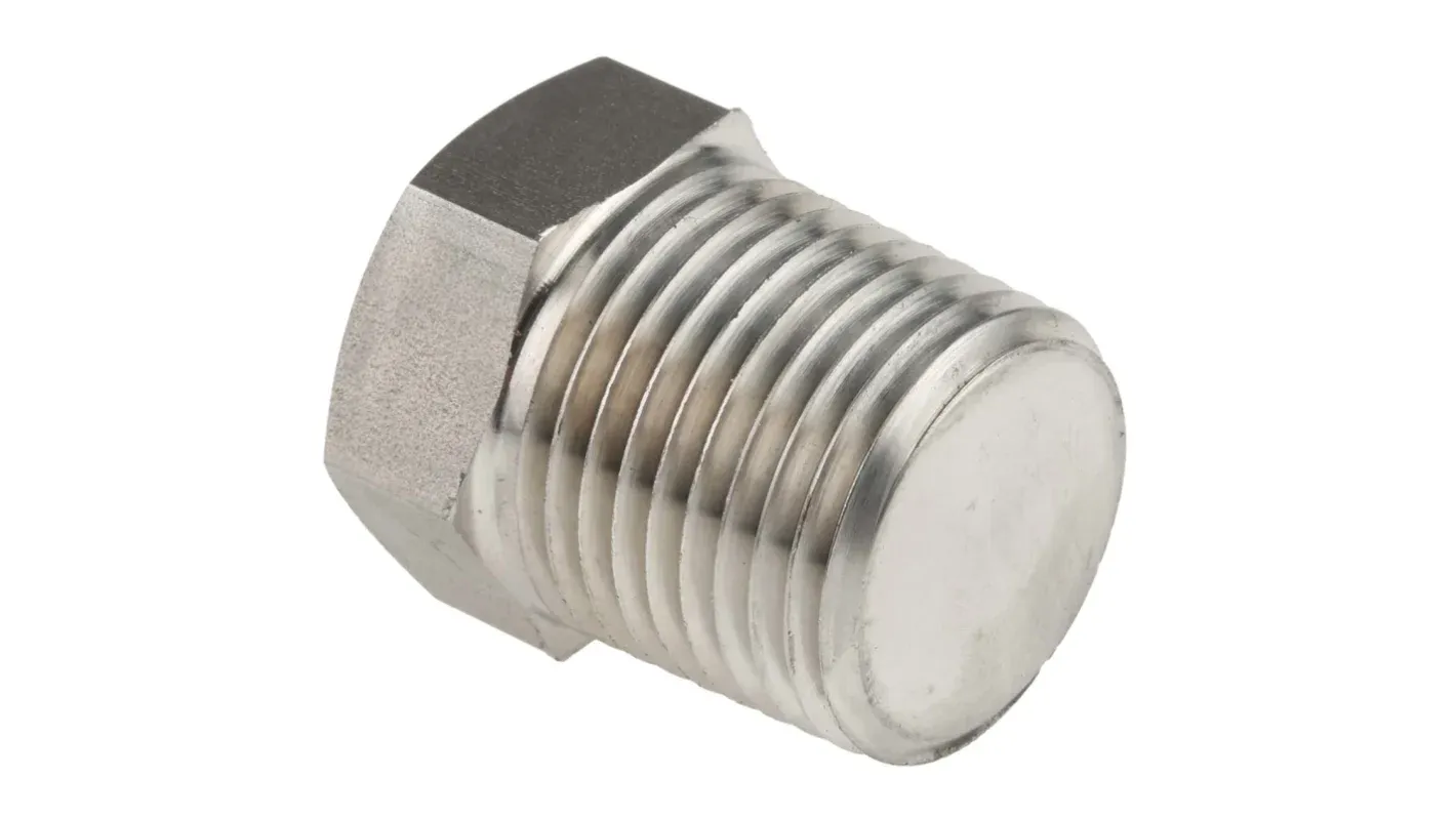 Others *Stainless Steel Fitting | SUS304 Plug 1''