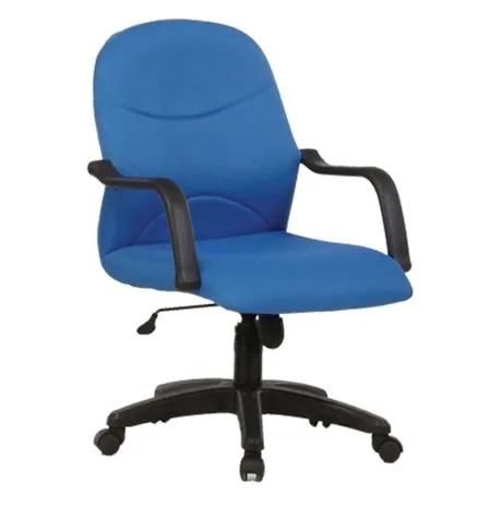 Homlux Low Back Chair HOS_2002