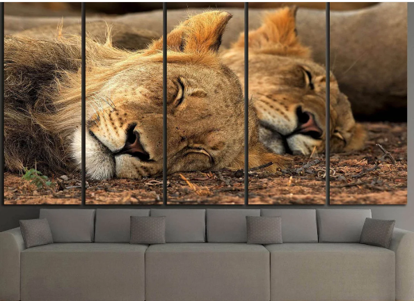 ZELLART Lion Tandem №1112 Ready to Hang Canvas Print - 3 panel 105' x 54'