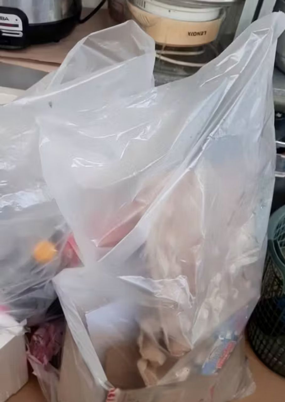 Large Plastic Bag (20" x 31"), 30 Pcs/Pack