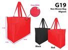 Freemiums Sdn Bhd G19 Non Woven Bag