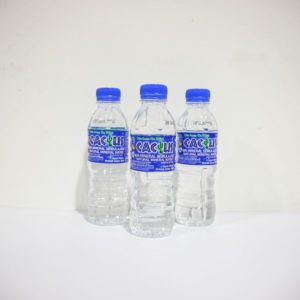 Cactus Natural Mineral Water carton 24 x 250ml