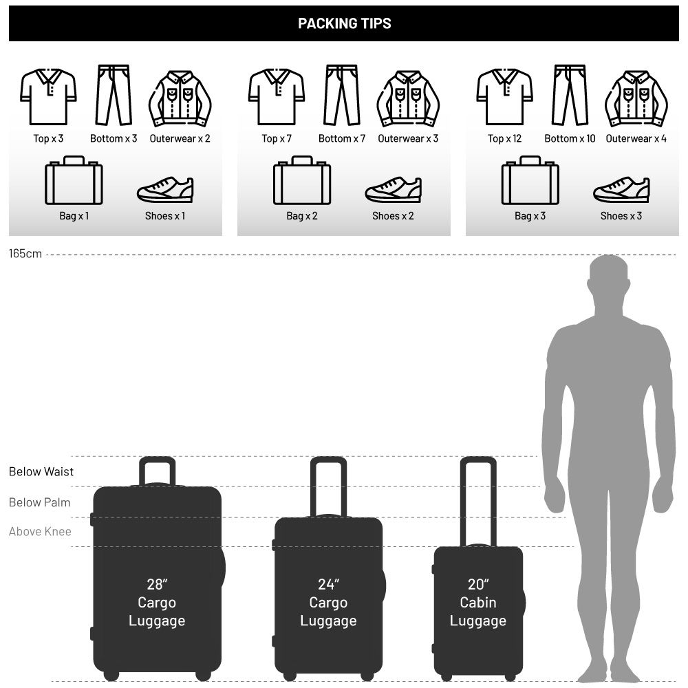 URBANlite *URBANlite Conti (20") Spinner Luggage - ULH8919