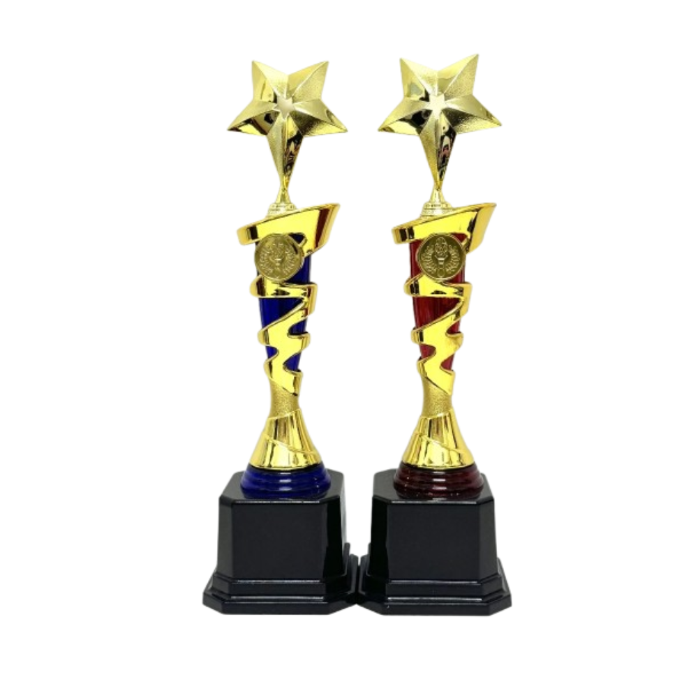 OEM Star Award Trophy