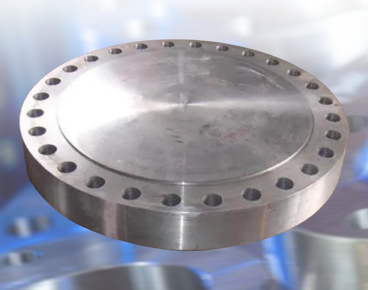 OEM *30 INCH CL 150 BLIND FLANGE ASME B16.47 Sr A RF ASTM A105 NACE