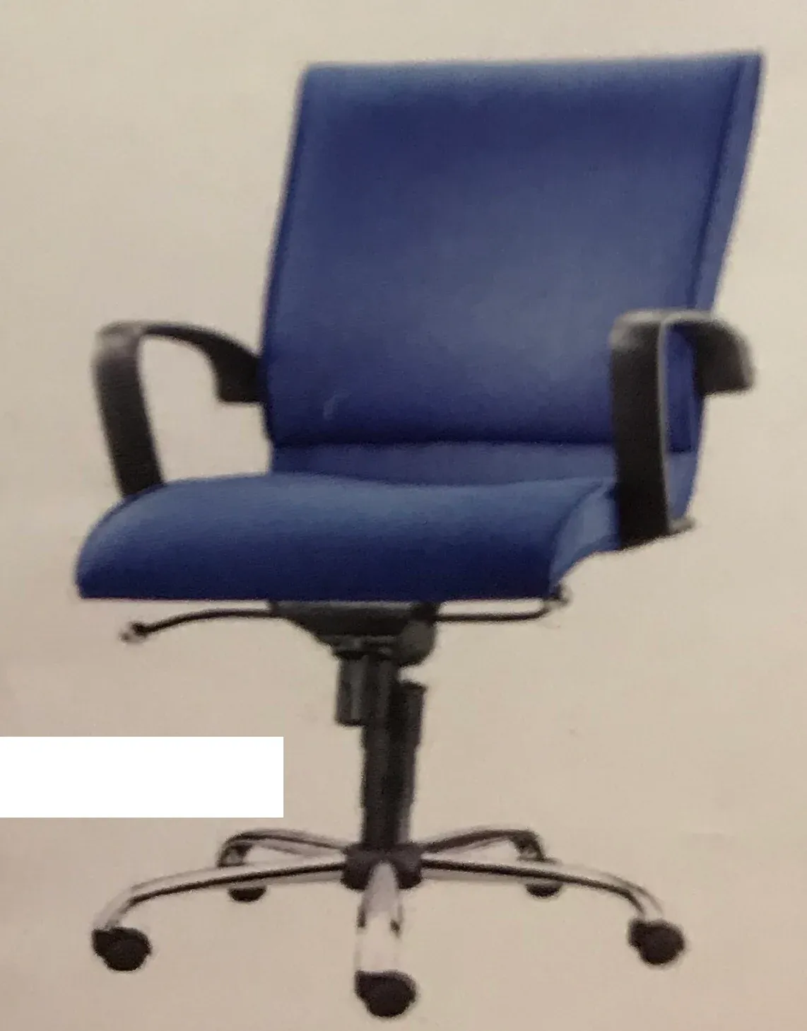 EUPHORBIA LOW BACK CHAIR