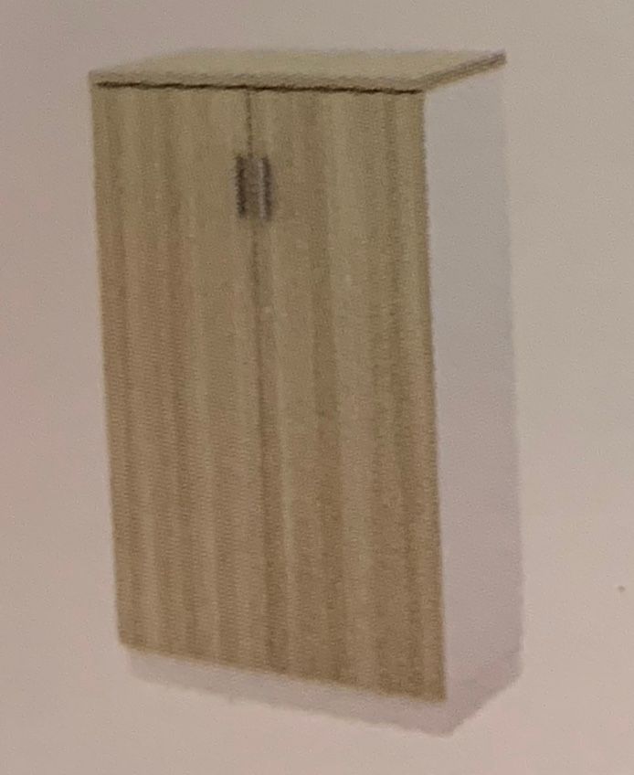 SWINGING DOOR MEDIUM CABINET 1