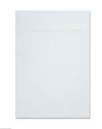 White Envelopes (9 X 12 3/4)