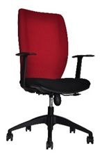 Safari Medium Back Chair FIX - FX 12
