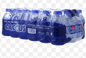 CACTUS NATURAL MINERAL WATER 48 BOTTLES X 250MM