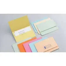 POCKET FILE - LION