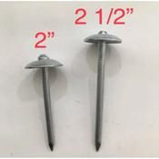 QS Paku Payung 2 1/2" (20KG/1 Box)