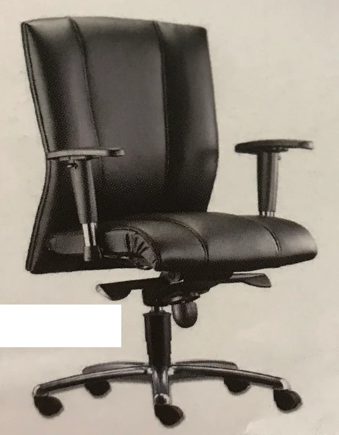 CANCER MEDIUM BACK CHAIR