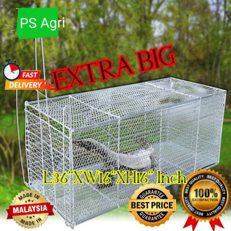 Monkey, Fox, Squirrel Trap Cage ( EXTRA BIGGER) / Perangkap Musang ,Biawak, Monyet ( TAMBAH BESAR)