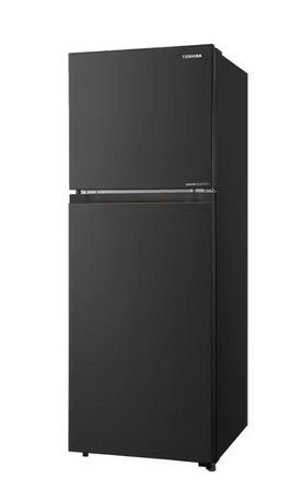 TOSHIBA FRIDGE GR-RT313WE-PMY