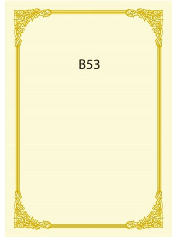 CERTIFICATE CARD A4 160GSM