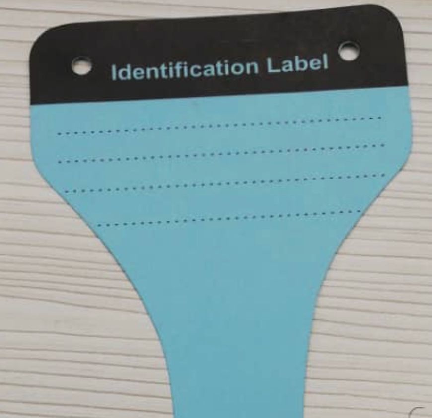 QS Label Identification