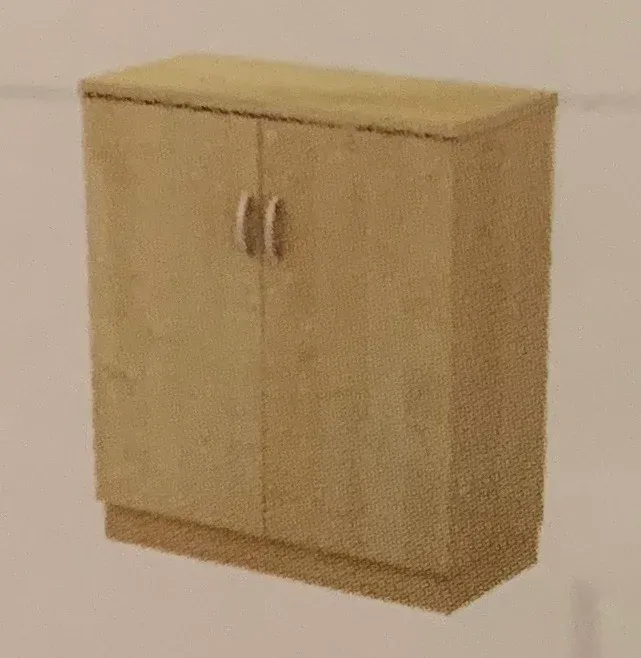 SWINGING DOOR LOW CABINET