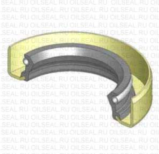Oil seal 55x80x8 SBW Viton 80-CC SOG
