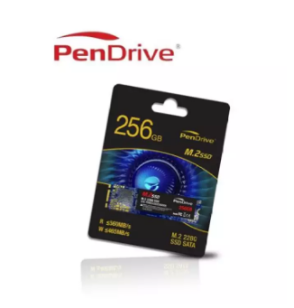 Genuine Malaysia Pendrive Warranty - PENDRIVE RAPID M.2 SATA 512GB SSD