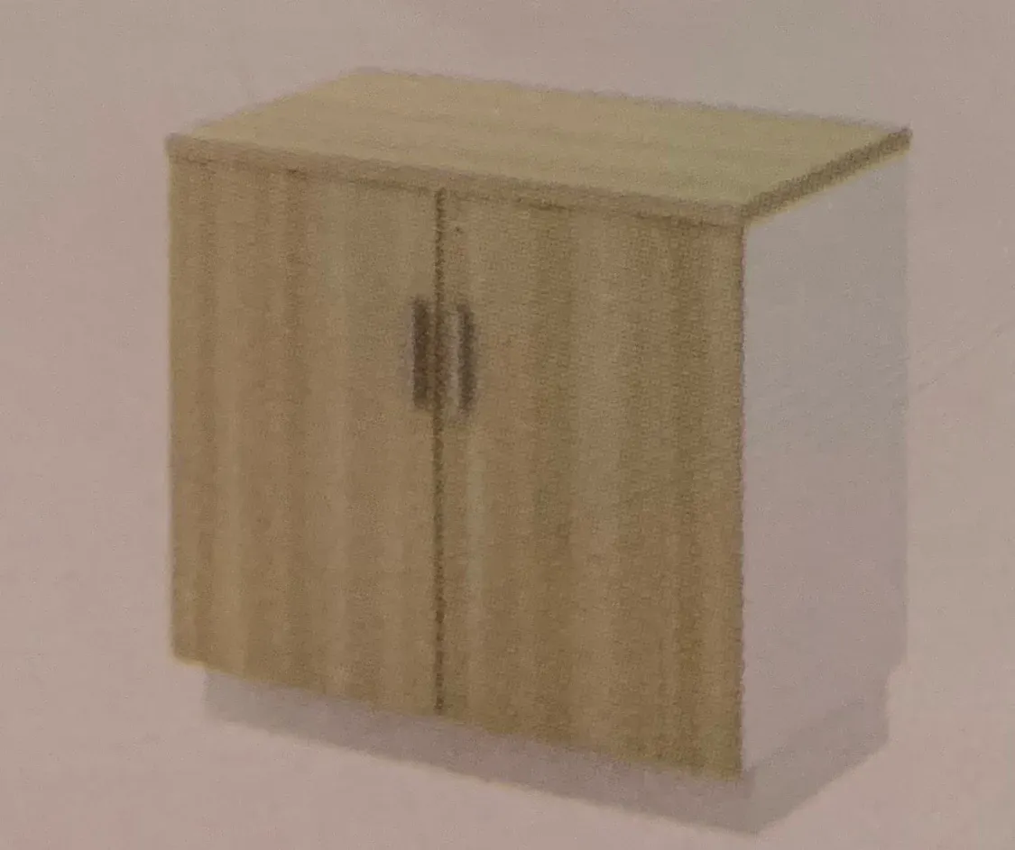SWINGING DOOR LOW CABINET 2
