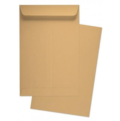Brown envelopes (12" x 16")